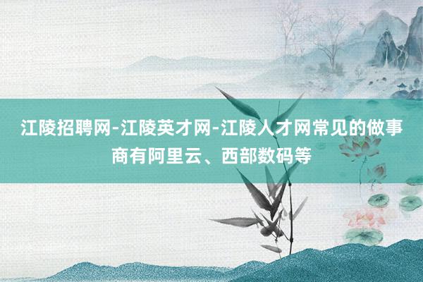 江陵招聘网-江陵英才网-江陵人才网常见的做事商有阿里云、西部数码等