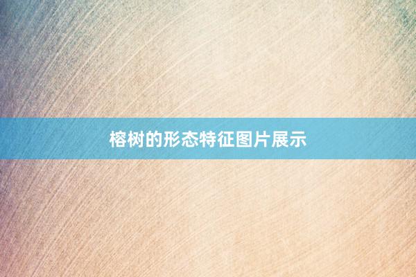 榕树的形态特征图片展示