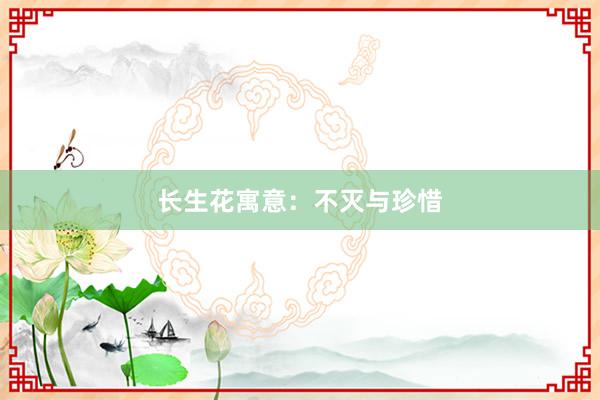 长生花寓意：不灭与珍惜