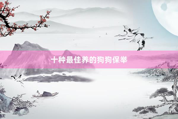十种最佳养的狗狗保举