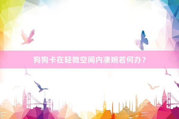 狗狗卡在轻微空间内凄婉若何办？