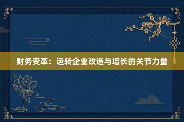 财务变革：运转企业改造与增长的关节力量